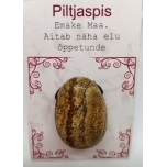 Piltjaspis auguga kivi