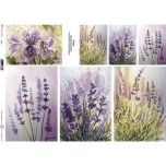 Riisipaber Lavender A3, ITD-R097L