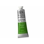 Õlivärv Winton 37ml 145 chrome green hue
